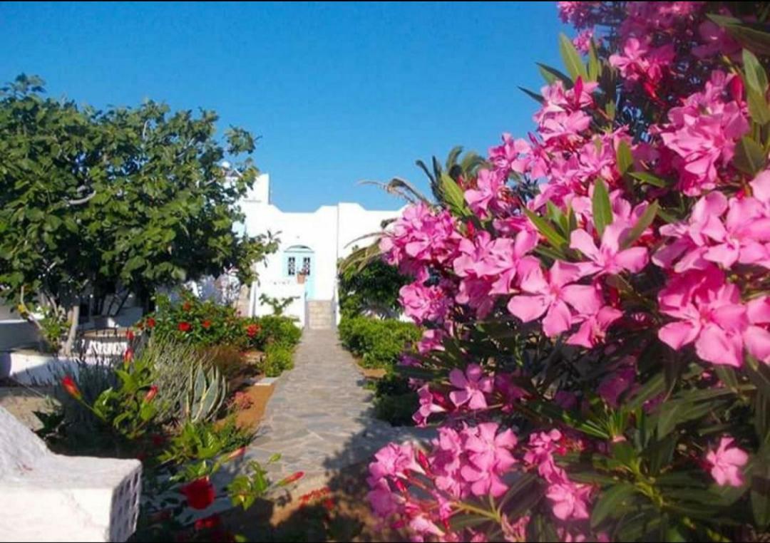 Nyfes Traditional Boutique Frosyni Skyros Exterior foto